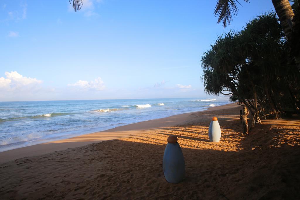 Thejan Beach Cabanas Bentota Kültér fotó